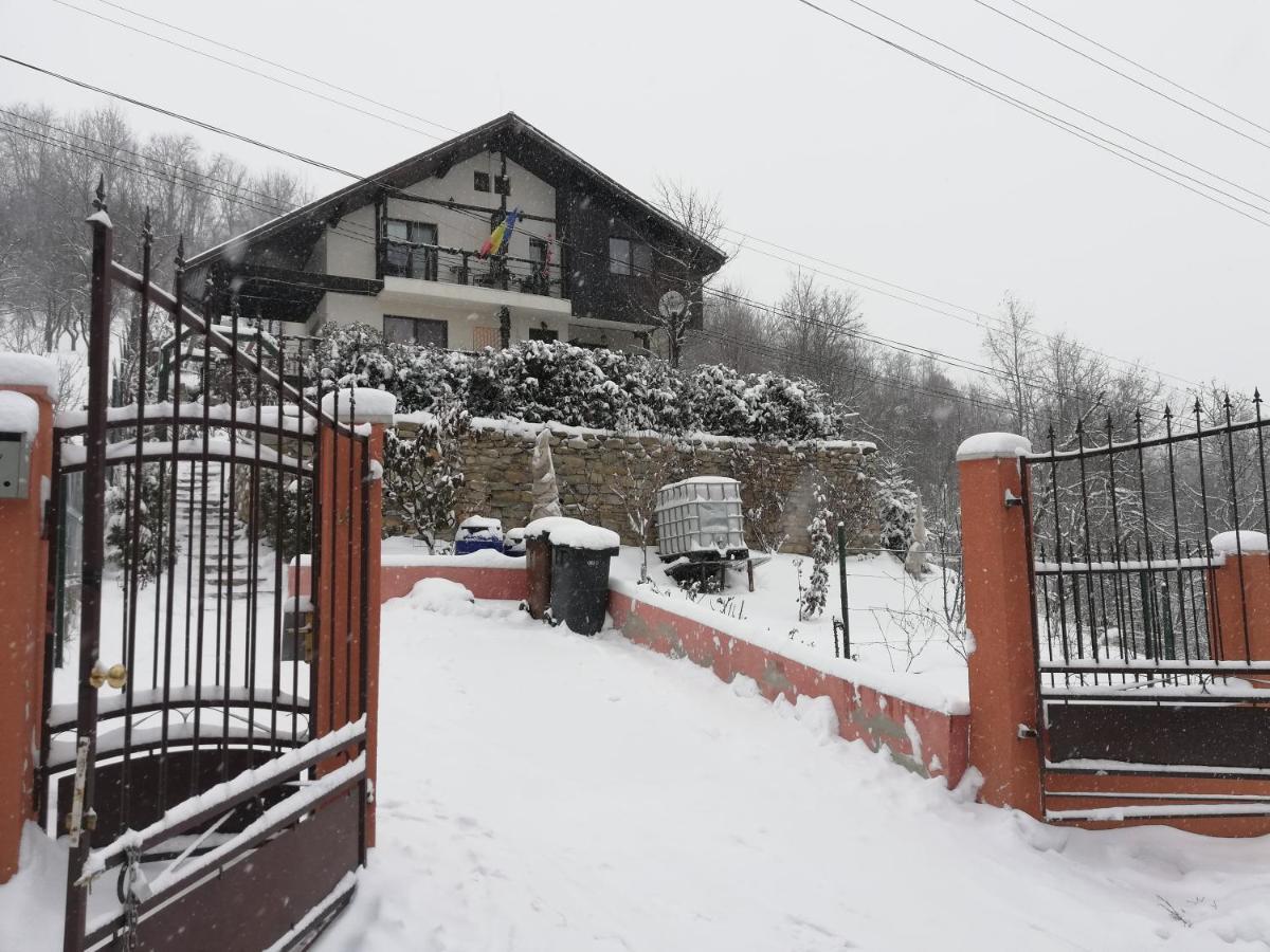 Casuta Cu Trandafiri Hotel Slănic Exterior photo