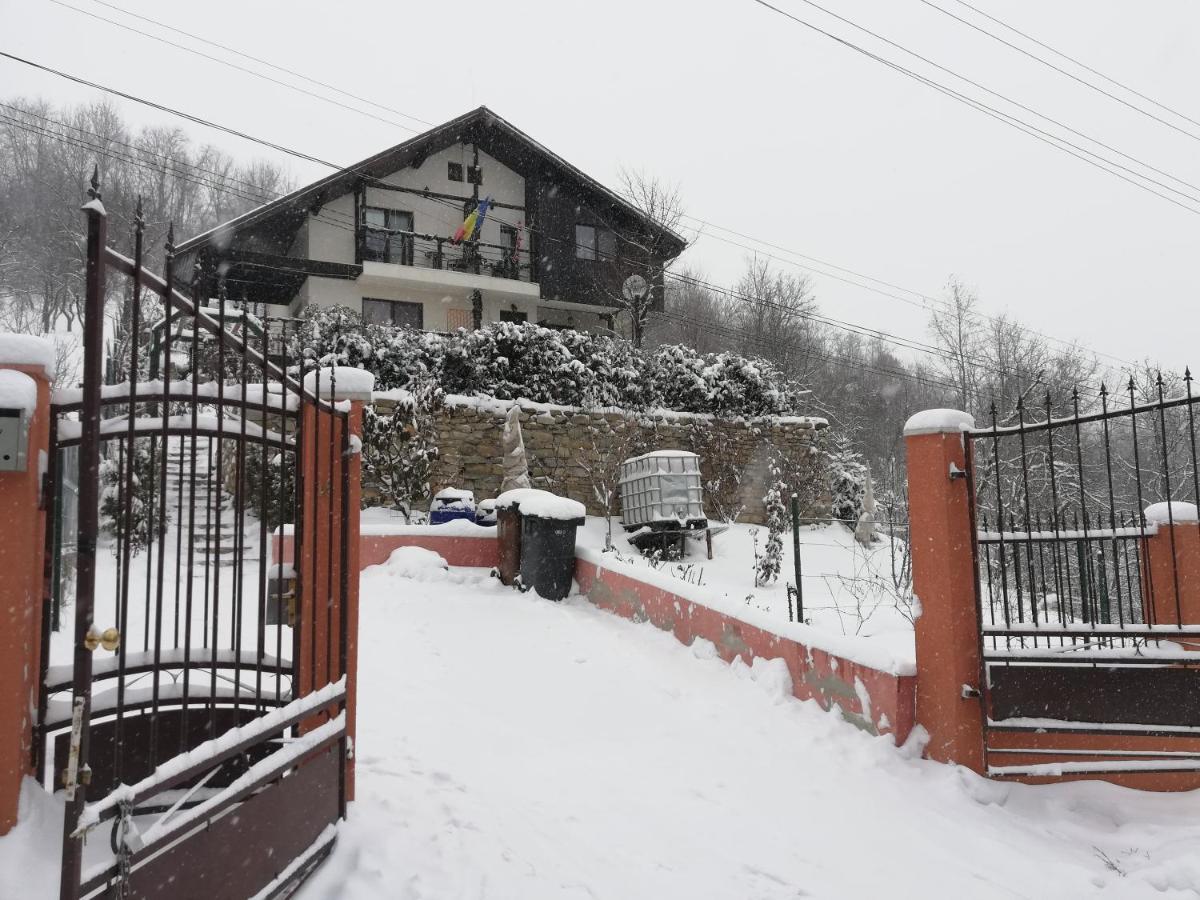 Casuta Cu Trandafiri Hotel Slanic Exterior photo